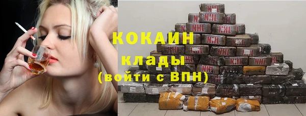 гашик Алексин
