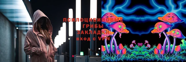 прущая мука Алзамай
