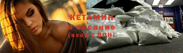 гашик Алексин