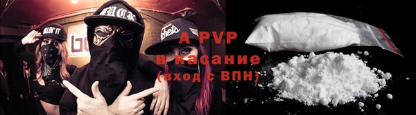 гашик Алексин