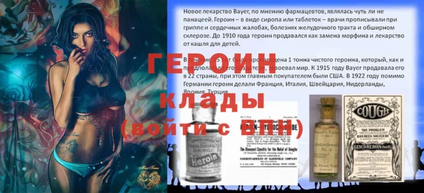 гашик Алексин