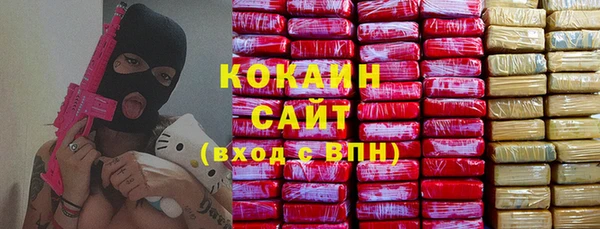 гашик Алексин