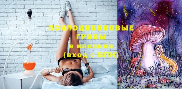 ешки Алексеевка
