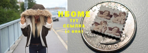 гашик Алексин