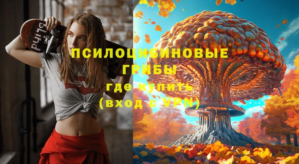 ешки Алексеевка